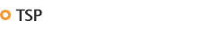  TSP
