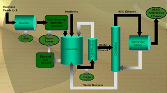 Plant Design Flowchart images